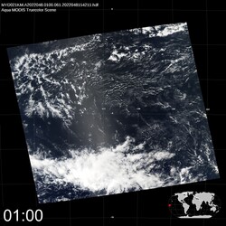 Level 1B Image at: 0100 UTC