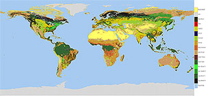 Sample Land Ecosystem Classification Image