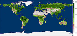Sample Normalized Difference Vegetative Index (NDVI) Image